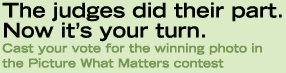 The judges did their part. Now it's your turn.